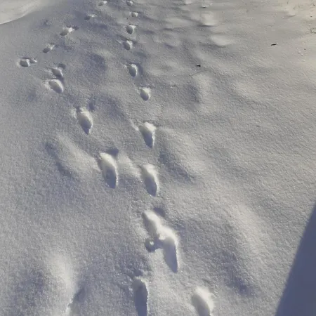 Hébergement de vacances De La Ouedolle Sengouagnet