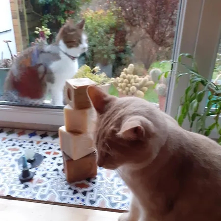 De La Ouedolle Casa vacanze Sengouagnet