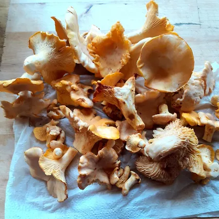 De La Ouedolle Sengouagnet